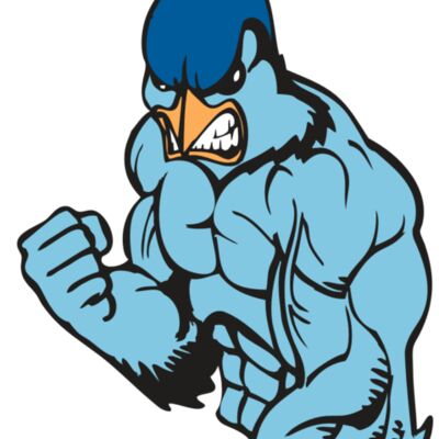 BAW BLUEJAY 13 RC Thumbnail