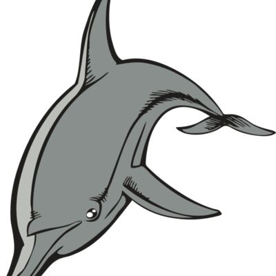 BAW DOLPHIN 03 RC Thumbnail