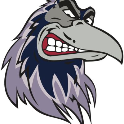 RAVEN HD0504 RQC Thumbnail